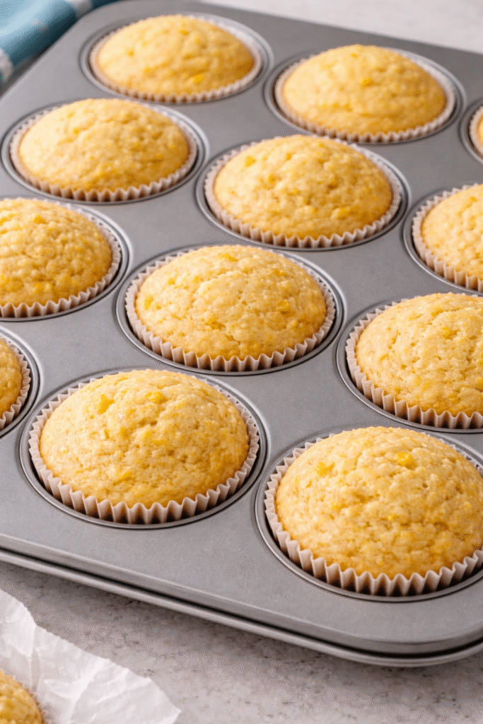 8d816f08 f1c8 4e13 8a4c 6f345c951e64 8d816f08 f1c8 4e13 8a4c 6f345c951e64